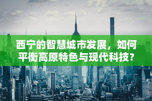 西宁的智慧城市发展，如何平衡高原特色与现代科技？