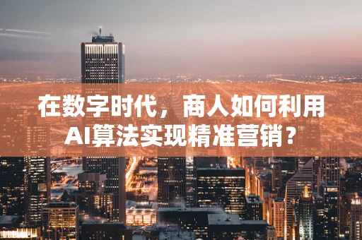 在数字时代，商人如何利用AI算法实现精准营销？