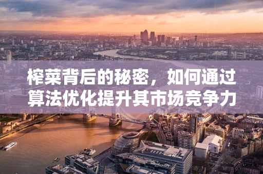 榨菜背后的秘密，如何通过算法优化提升其市场竞争力？