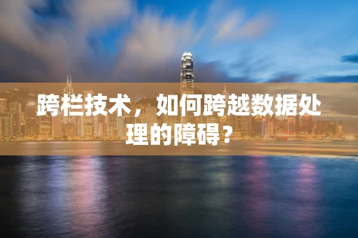 跨栏技术，如何跨越数据处理的障碍？
