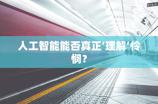人工智能能否真正‘理解’怜悯？