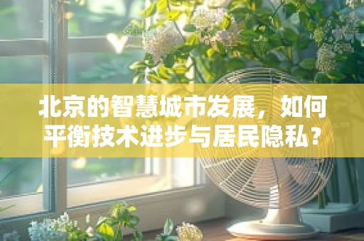 北京的智慧城市发展，如何平衡技术进步与居民隐私？
