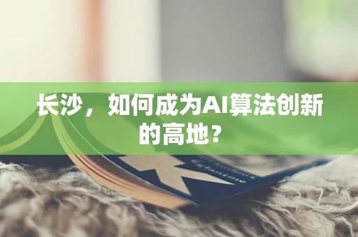长沙，如何成为AI算法创新的高地？
