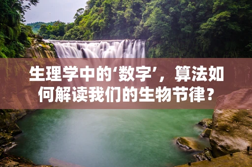 生理学中的‘数字’，算法如何解读我们的生物节律？