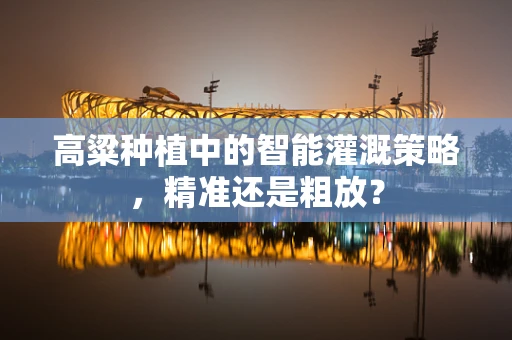高粱种植中的智能灌溉策略，精准还是粗放？