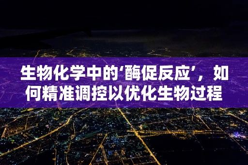生物化学中的‘酶促反应’，如何精准调控以优化生物过程？