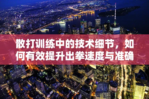 散打训练中的技术细节，如何有效提升出拳速度与准确性？