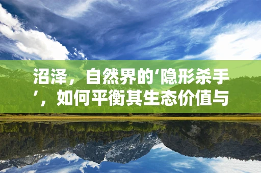 沼泽，自然界的‘隐形杀手’，如何平衡其生态价值与人类活动？