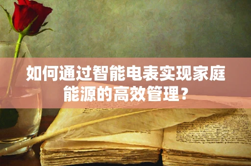 如何通过智能电表实现家庭能源的高效管理？