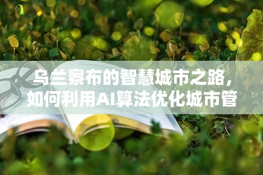 乌兰察布的智慧城市之路，如何利用AI算法优化城市管理？