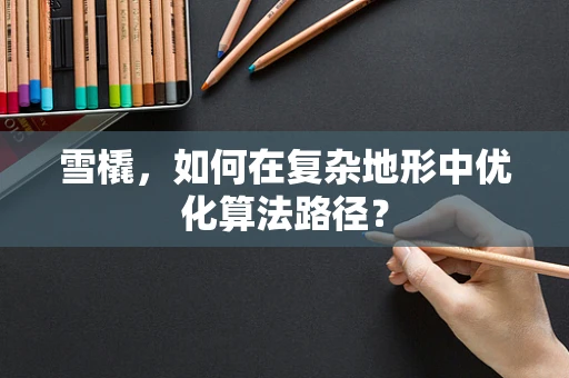 雪橇，如何在复杂地形中优化算法路径？