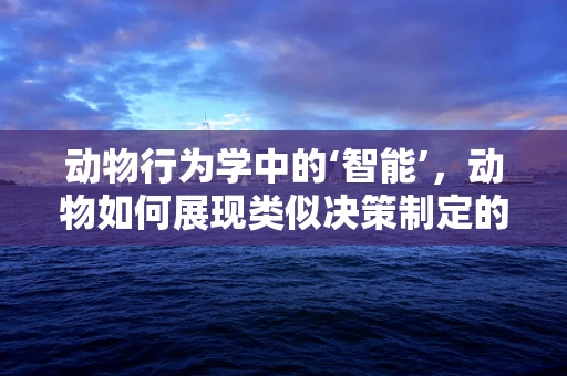 动物行为学中的‘智能’，动物如何展现类似决策制定的能力？