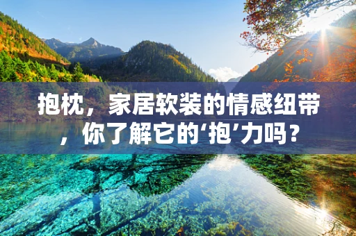 抱枕，家居软装的情感纽带，你了解它的‘抱’力吗？