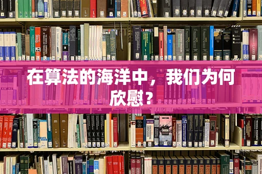 在算法的海洋中，我们为何欣慰？