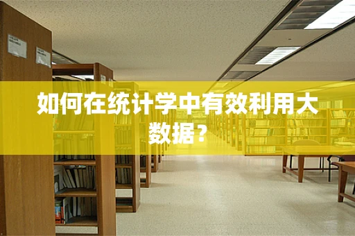 如何在统计学中有效利用大数据？