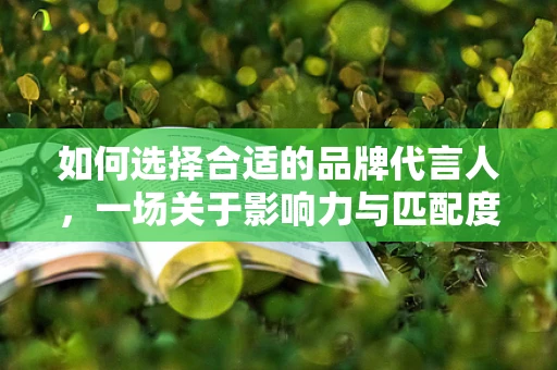 如何选择合适的品牌代言人，一场关于影响力与匹配度的博弈？