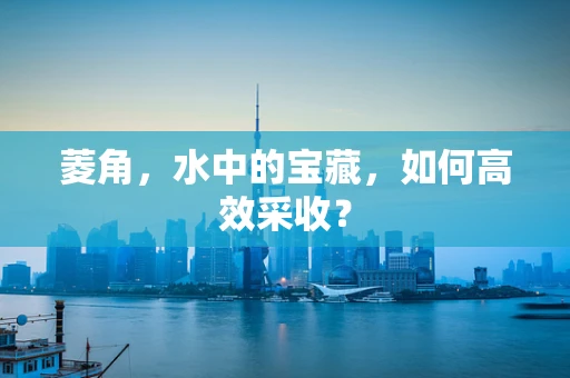 菱角，水中的宝藏，如何高效采收？