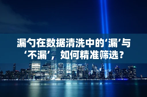 漏勺在数据清洗中的‘漏’与‘不漏’，如何精准筛选？