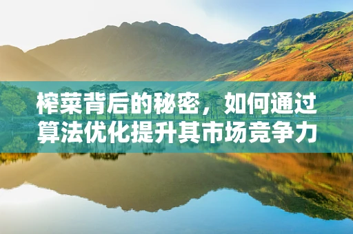 榨菜背后的秘密，如何通过算法优化提升其市场竞争力？