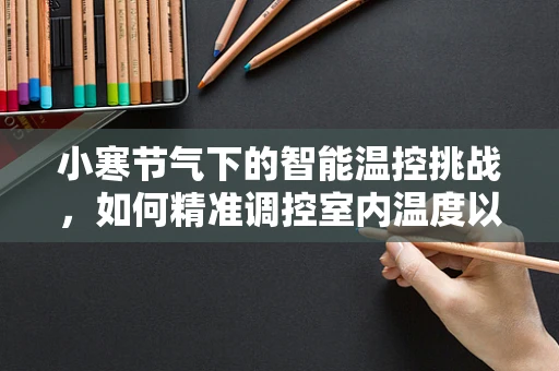 小寒节气下的智能温控挑战，如何精准调控室内温度以应对极寒挑战？