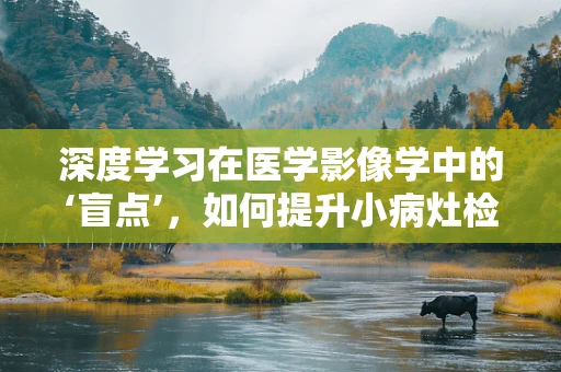 深度学习在医学影像学中的‘盲点’，如何提升小病灶检测的准确性？