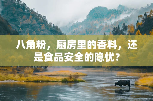 八角粉，厨房里的香料，还是食品安全的隐忧？