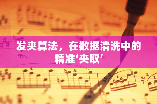 发夹算法，在数据清洗中的精准‘夹取’