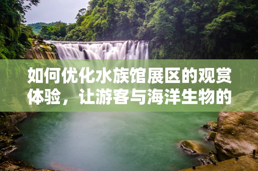 如何优化水族馆展区的观赏体验，让游客与海洋生物的互动更自然？
