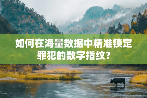 如何在海量数据中精准锁定罪犯的数字指纹？
