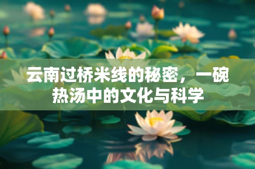 云南过桥米线的秘密，一碗热汤中的文化与科学