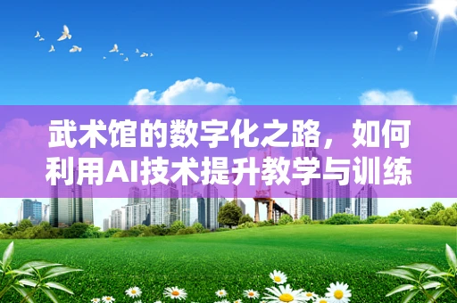 武术馆的数字化之路，如何利用AI技术提升教学与训练效率？