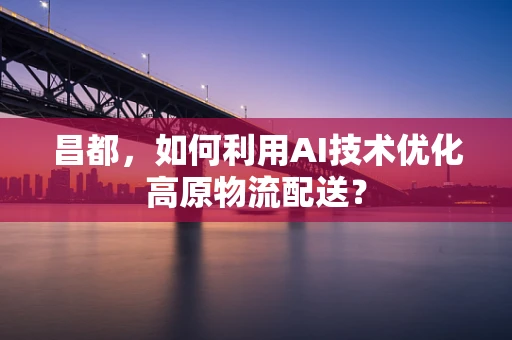 昌都，如何利用AI技术优化高原物流配送？