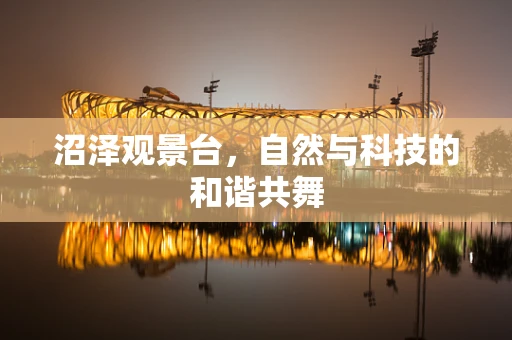沼泽观景台，自然与科技的和谐共舞