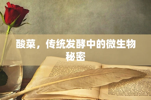 酸菜，传统发酵中的微生物秘密