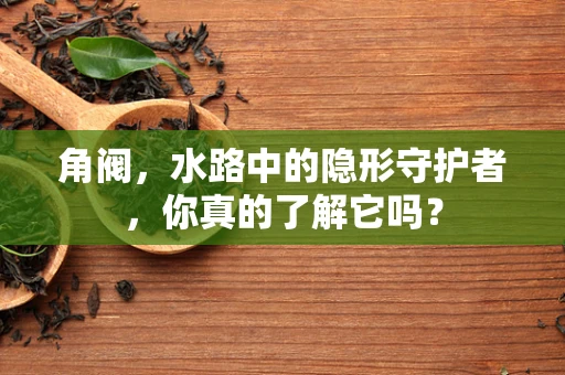 角阀，水路中的隐形守护者，你真的了解它吗？