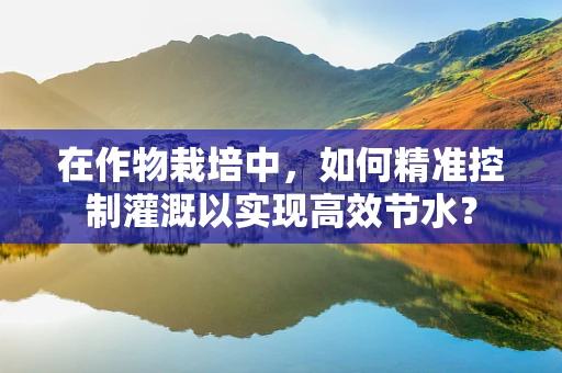 在作物栽培中，如何精准控制灌溉以实现高效节水？