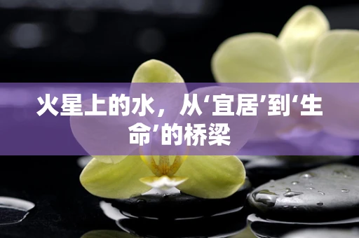 火星上的水，从‘宜居’到‘生命’的桥梁