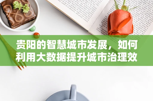 贵阳的智慧城市发展，如何利用大数据提升城市治理效率？