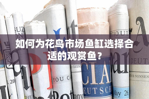 如何为花鸟市场鱼缸选择合适的观赏鱼？