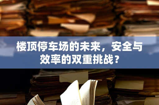 楼顶停车场的未来，安全与效率的双重挑战？