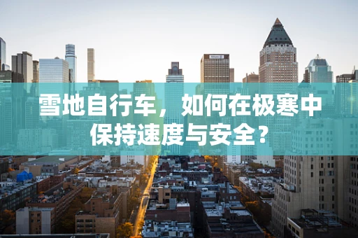 雪地自行车，如何在极寒中保持速度与安全？