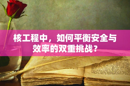 核工程中，如何平衡安全与效率的双重挑战？
