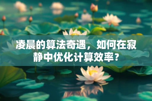 凌晨的算法奇遇，如何在寂静中优化计算效率？