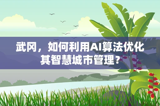 武冈，如何利用AI算法优化其智慧城市管理？