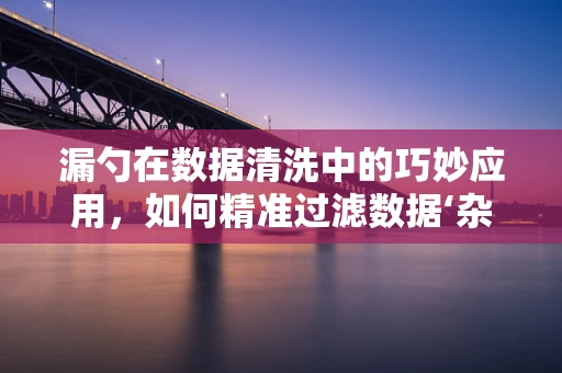 漏勺在数据清洗中的巧妙应用，如何精准过滤数据‘杂质’？
