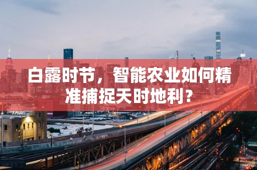 白露时节，智能农业如何精准捕捉天时地利？