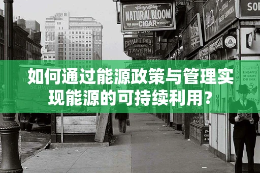 如何通过能源政策与管理实现能源的可持续利用？