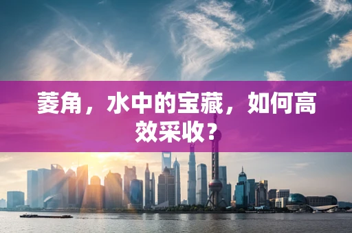 菱角，水中的宝藏，如何高效采收？