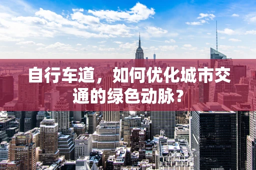 自行车道，如何优化城市交通的绿色动脉？