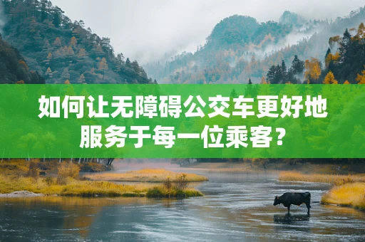 如何让无障碍公交车更好地服务于每一位乘客？